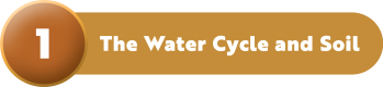 The Water Cycle and Soil